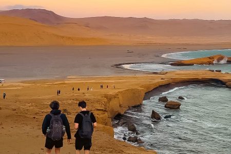 Full Day Paracas & Islas Ballestas