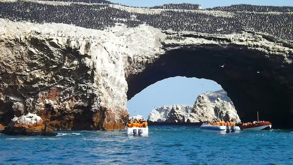 islas ballestas full day paracas