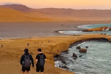 viajeros en el tour Full day Paracas de Grupotours