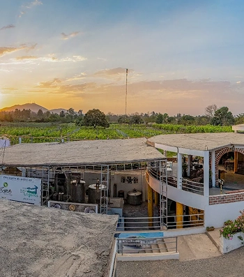 unsplash_xsm6EJM1mP4 (5)