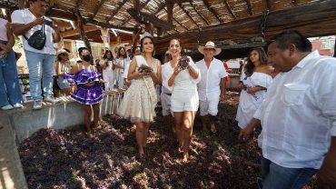 INDECOPI Otorga Derechos del Festival de la Vendimia Iqueña a APROVI