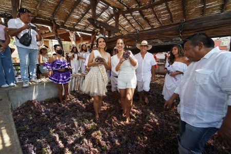 INDECOPI Otorga Derechos del Festival de la Vendimia Iqueña a APROVI