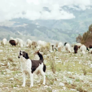 los pueblos mas bonitos de Peru