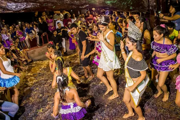 Actividades más representativas del festival de la vendimia en Ica