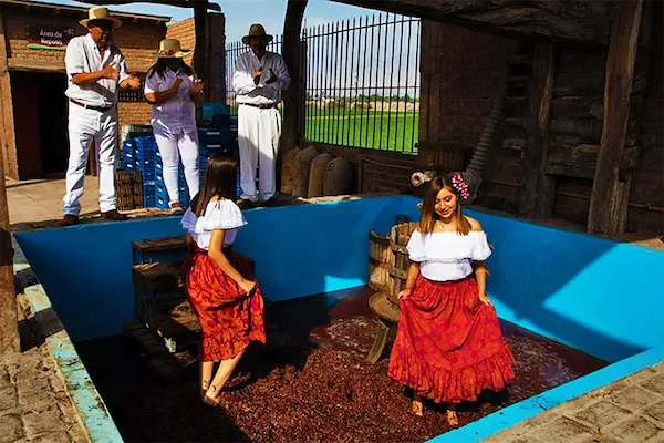 La pisa de uva como símbolo del festival