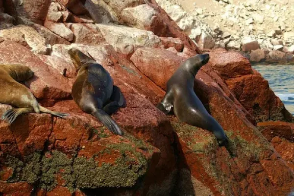 compromiso con el turismo sostenible en Grupotours