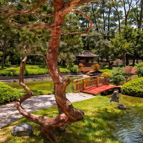 Centro Cultural Peruano Japonés lugar instagrameable Lima