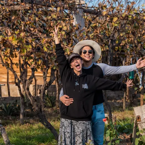 Día 1 Tour Ruta del Pisco en Ica viñedo