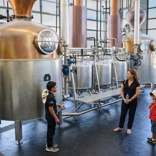 Día 2 Tour Ruta del Pisco en Ica Hacienda La Caravedo