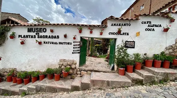 Museo de Plantas Sagradas, Mágicas y Medicinales