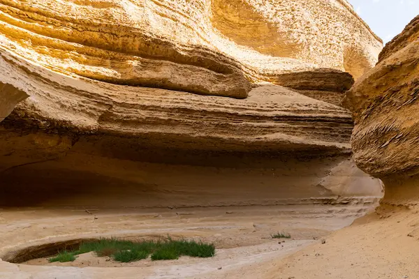 Qué tipo de experiencia buscas para Semana Santa