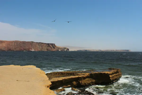 Full Day Paracas